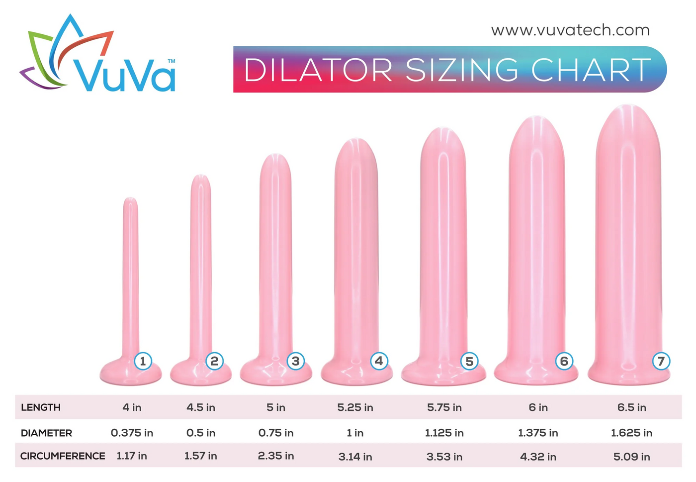 Seven VuVa Smooth Vaginal Dilators