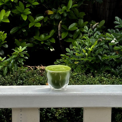 Zenergi Ceremonial Grade Matcha