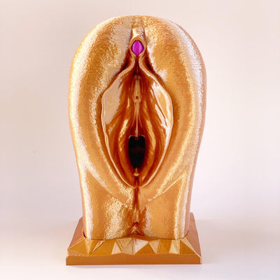 3D Vulva Model