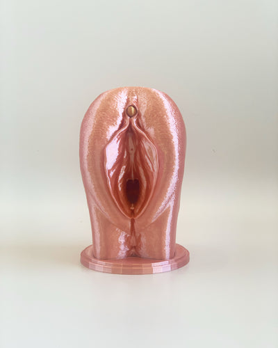 3D Vulva Model