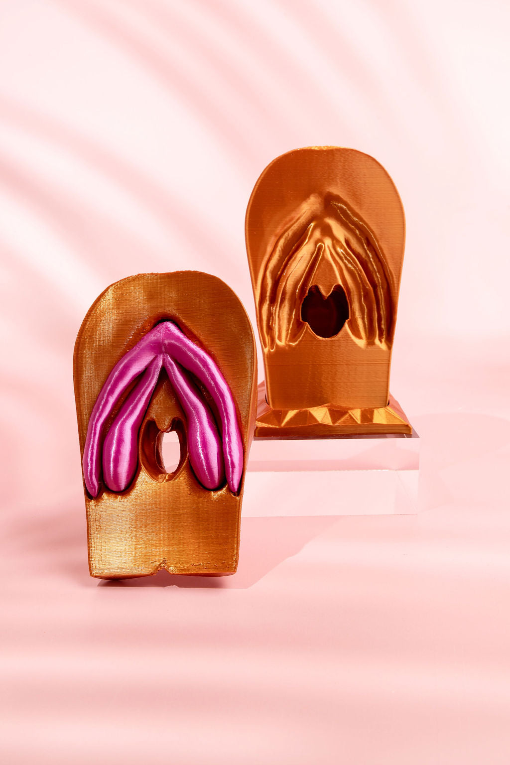 3D Vulva Model