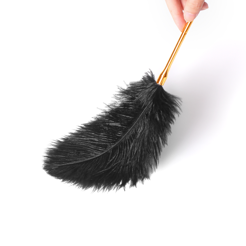Boujee Feather Tickler BDSM